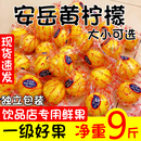 四川安岳黄柠檬新鲜水果一级果皮薄多汁当季 香柠檬大中小整箱净重