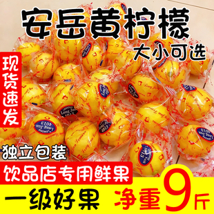 四川安岳黄柠檬新鲜水果一级果皮薄多汁当季香柠檬大中小整箱净重