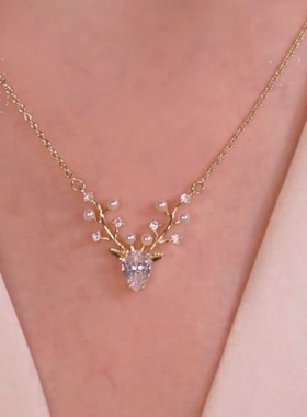 韩版一鹿有你锆石锁骨链轻奢钛钢