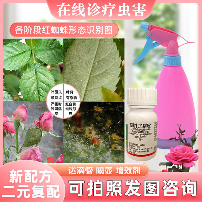 红蜘蛛杀虫剂专用药杀虫杀卵月季玫瑰果蔬植物花卉果树通用除虫剂