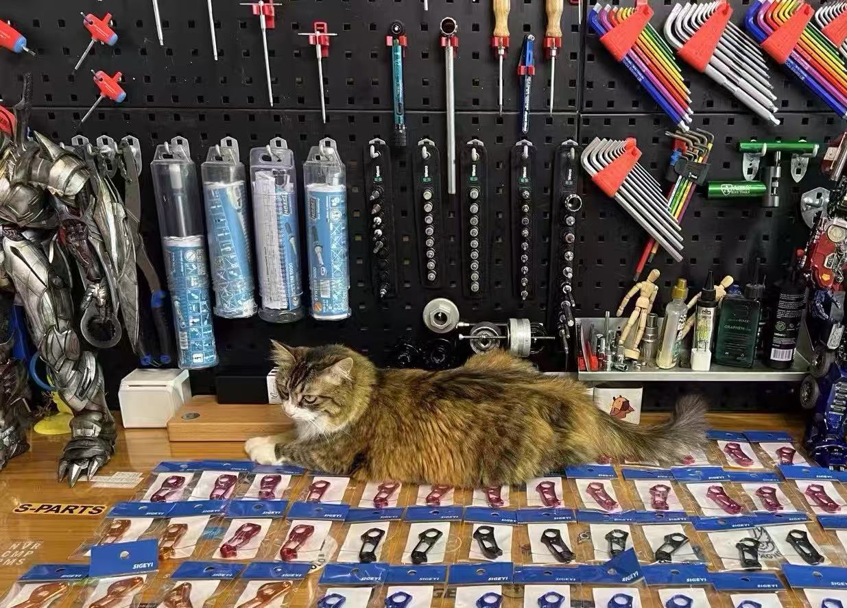 Sigeyi思各异 闪电 SL7 SL8 allez NewVenge aethos 碟刹直装尾钩