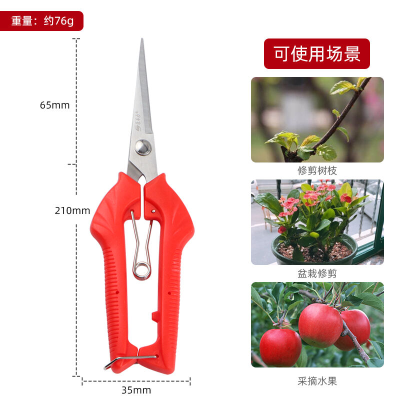 葡萄疏果专用剪刀园艺疏花修果剪采果摘果剪刀水果柑橘锯齿果园剪