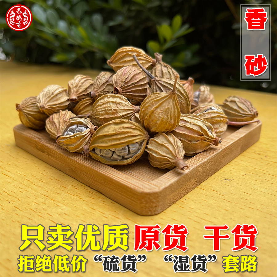 川砂仁香砂沙仁金砂仁优质四川特产炖肉卤菜调料香料大全