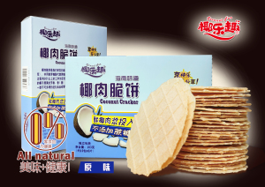 椰乐趣椰子香薄脆饼干海南特产休闲零食小吃茶店无添加多口味盒装