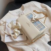 包包女新款 2026百搭单肩秋冬潮百搭流行链条爆款 高级感小众斜挎包