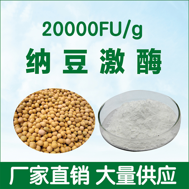 纳豆激酶20000fu/g食品级原料 100克/袋