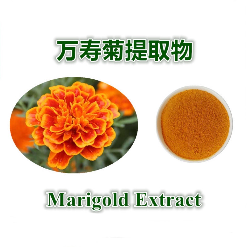 万寿菊提取物叶黄素5%Marigold Extract微囊粉玉米黄质高品质原料