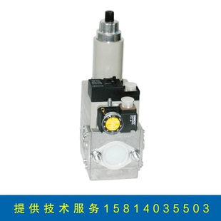ZRDLE410B01S20S50双段火燃气电磁阀 DUNGS冬斯阀组MVDLE207
