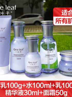 一叶子鸢尾补水控油水乳套装