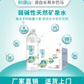 100瓶 巴马丽琅长绿山天然矿泉水538mlx10瓶x10箱拍下到手十箱