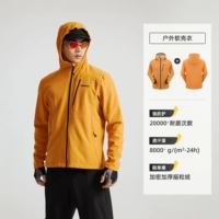 Стиль апельсинового стиля ель