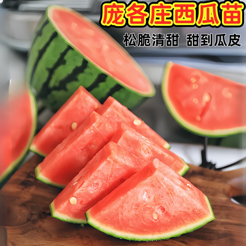 庞各庄西瓜苗秧产量高甜度高抗病高产田园大棚种植春季秋季西瓜苗