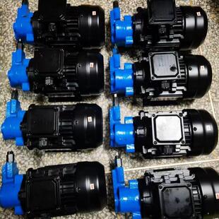 B63Y B40Y1G摆线齿轮油泵电机BB B50Y调压泵Y1G 2G1滤 新款 包邮