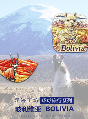 玻利维亚立体浮雕树脂冰箱贴