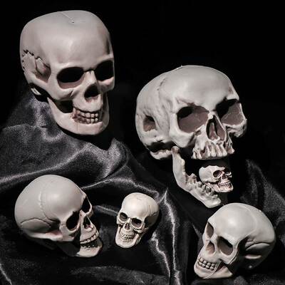 1PC Halloween Style All Size Human Skull Head Skeleton Photo