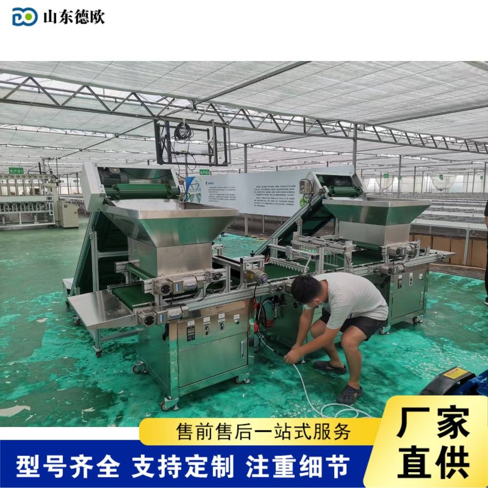 全自动光电感应播种机大棚蔬菜花卉育苗点播机穴盘育种覆土压穴机