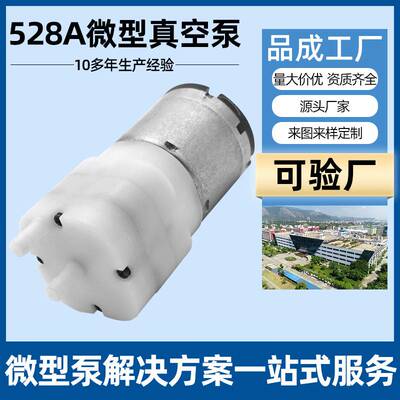 528A消毒喷雾枪气泵 12v足部按摩仪增压泵 微型直流抽气真空泵