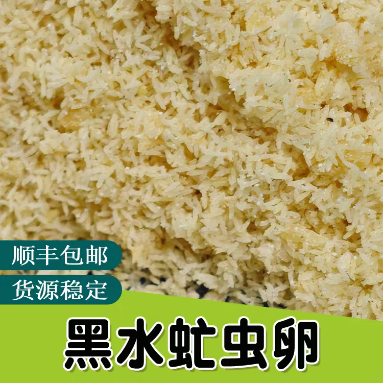 高孵化率黑水虻虫卵活体凤凰虫卵养殖种虫家禽饲料包邮