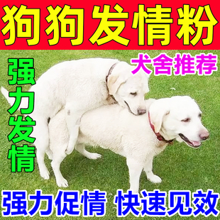 母狗发情剂狗狗发情剂配种药粉母狗发情的药交配神器专攻狗不发情