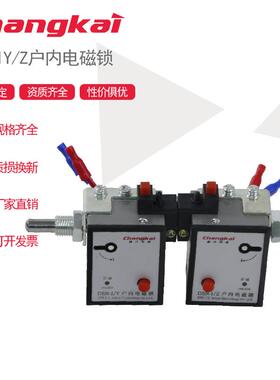 DSN-I-Y/Z户内高压电磁锁 户内高压电磁门锁 DSN系列 拨钮型