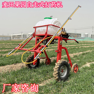 源头厂家果园打药机麦田草坪手扶四轮喷药机自行走农用高压喷雾器