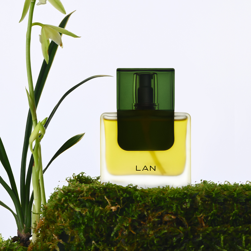 【李佳琦】LAN兰时光油3.0pro/气泡油2.0pro