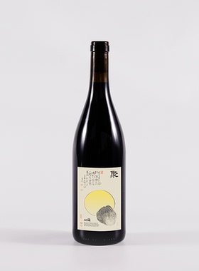 小圃｜聚干红MV7「月下吃瓜礼盒2025 年货诞节伴手礼 干红葡萄酒