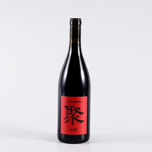 MV7 小圃｜聚干红葡萄酒