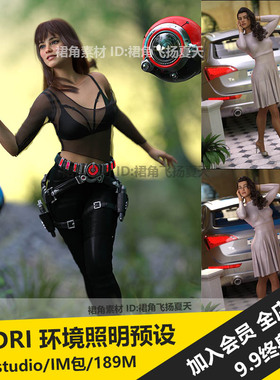 DAZ3D Studio 真实效果环境照明HDRI预设场景灯光效果 游戏3d素材