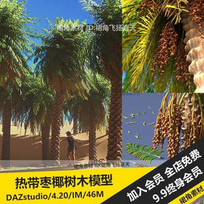 DAZ3D Studio 热带枣椰树木植物模型果实树叶落叶 游戏3d素材