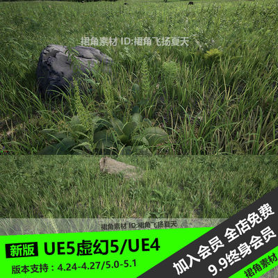 UE5虚幻4 真实草地植物自然环境植被植物组草丛岩石 游戏3D模型