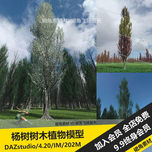 DAZ3D Studio 真实四季杨树树木森林自然环境植物模型 游戏3d素材