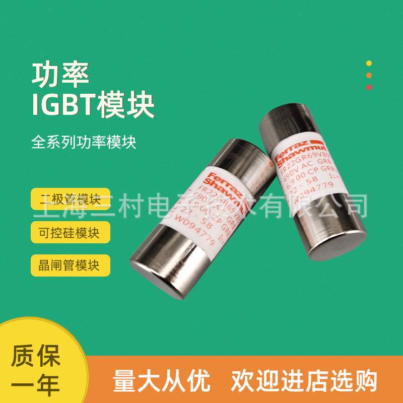 全新熔断器保险丝全新FR14AM50V50P D218204 FR22GG69V2 F219241