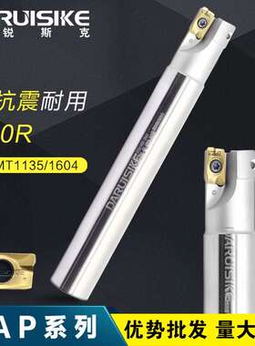 达锐斯克DARUISIKE BAP400R/大16R0.8直角台肩铣刀杆延长镗刀杆