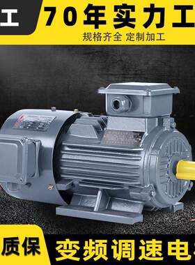 11/15/18.5千瓦22/30/45/55kw三相异步电动机 YVF2调速电机