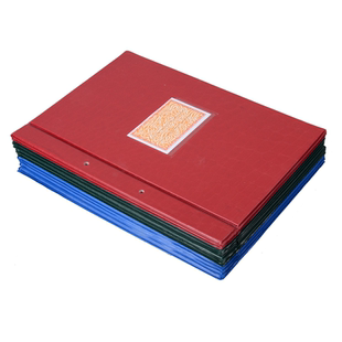 立信A4塑料竖式账面账本封皮账夹 帐本夹帐册封面账册夹文件装订活页夹直式账页夹上海立信会计财务用品批发