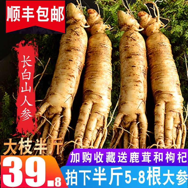 【拍2发500g】人参 野生山参长白山人参东北人参泡酒新鲜山参人叁