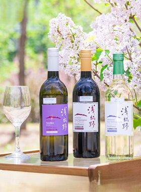 日本浅柄野山赤霞珠干红葡萄酒