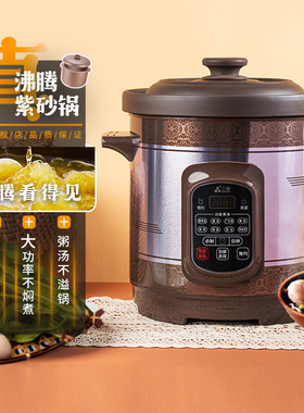 三源 XYDTG-SA12(汤先生系列)三源紫砂锅电炖锅真沸腾陶瓷全自动