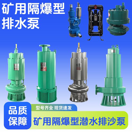BQS矿用隔爆排沙泵BQG气动隔膜泵WQ厂用防爆水泵FQW用风动潜水泵