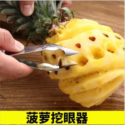 Stainless Steel Pineapple Eye Remover and Seed Extractor Too