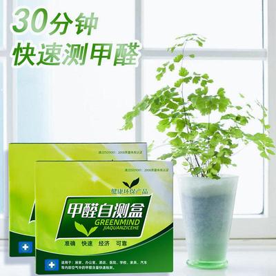 Formaldehyde Detector for Home Use - Self-Test and Removal K