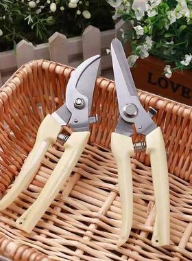 Garden Scissors for Pruning, Fruit Picking, Tree Trimming, F
