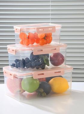 Small Rectangular Kitchen Food Storage Box, Refrigerator Org