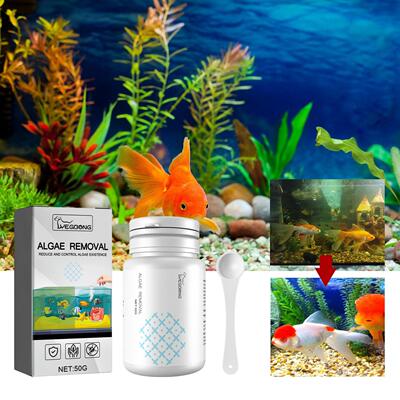 Yegbong Algae and Moss Remover for Aquariums, Fish Tank Alga