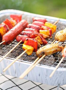 Large Disposable BBQ Grill for Skewers, Fish, and Meat - Por
