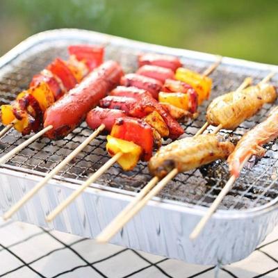 Large Disposable BBQ Grill for Skewers, Fish, and Meat - Por