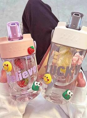 New Summer Large Capacity Portable Tea Infuser Water Bottle