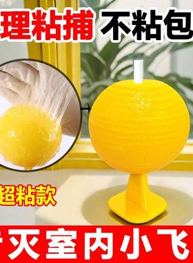 Sure, here is the translation for the provided text: