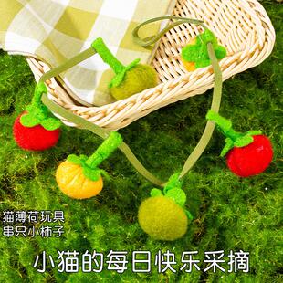 Cat toy tomato teaser, durable chewable persimmon string, a